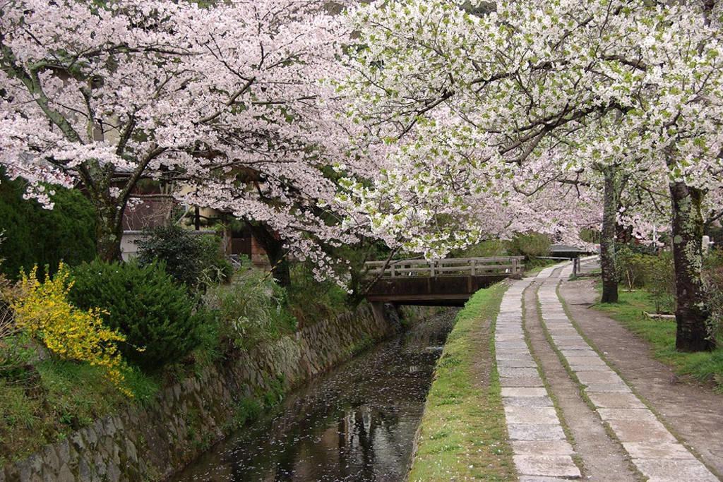 Willa Nanako House Kioto Zewnętrze zdjęcie